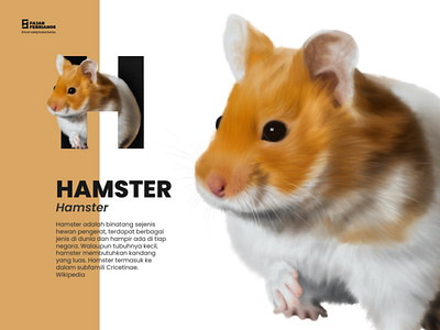 H | Hamster #AnimalAlphabetSeries design graphic design illustration illustrator
