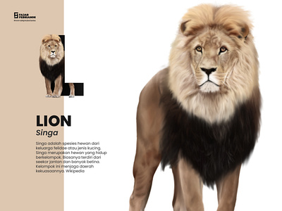 L | Lion #AnimalAlphabetSeries design graphic design illustration illustrator
