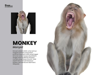 M | Monkey #AnimalAlphabetSeries design graphic design illustration illustrator
