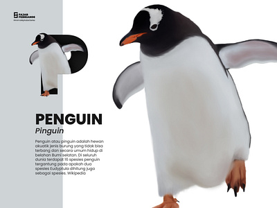 P | Penguin
#AnimalAlphabetSeries