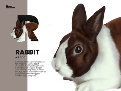 R | Rabbit #AnimalAlphabetSeries design graphic design illustration illustrator