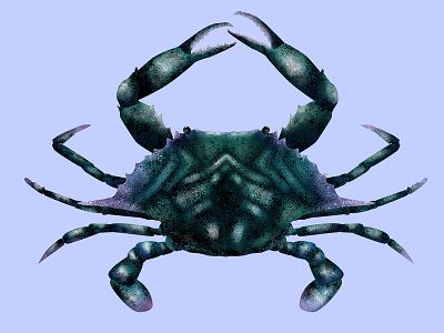 Crab animal animals cartoon crab crustacean digital painting illustration intuos ocean photoshop stipple stippling texture wacom