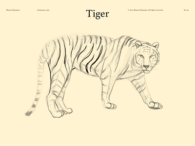 Tiger Study