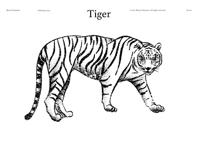 Water Tiger - Lunar New Year