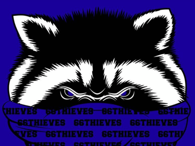 66Thieves Raccoon Bandit illustration