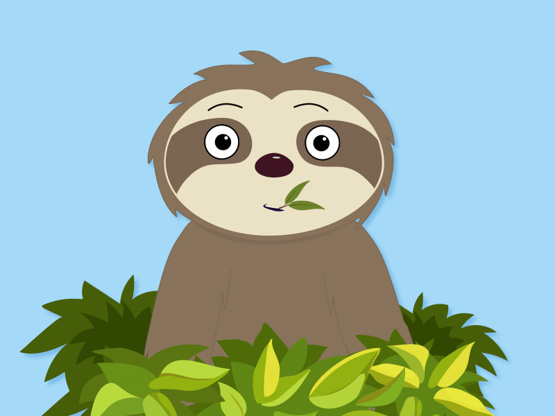 Little sloth