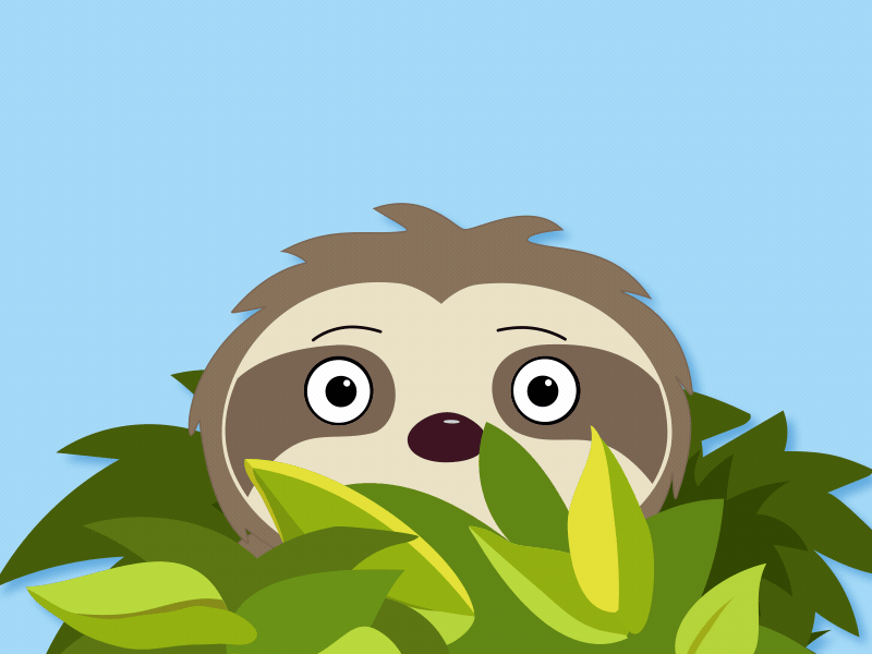 Frightened Sloth aftereffects animation character frightened illustration motion design sloth sticker telegram