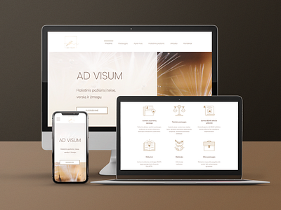 "AD VISUM" - web design branding clean consulting graphic design icon set icons lawyer light logo ui design visual identity web design website