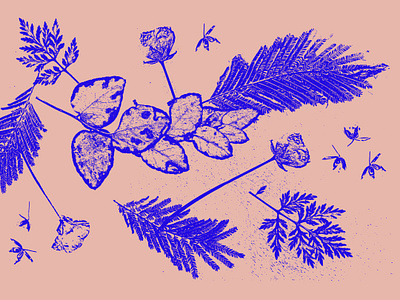 Herbier 2019 artwork creative design flower illustration flowers graphicdesign graphicdesigner herbier illustration nature patterns
