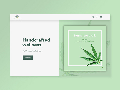 Satliva - Concept Homepage Design branding design illustration typography ui vector web