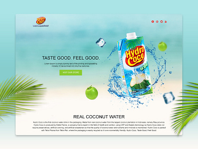 Hydrococo Landing Page branding landing page parallax scrolling uidesign website concept