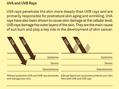 Sun Bum Infographic brochure copywriting infographic print