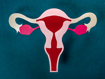 Uterus feminism illustration paper paper cut paperart papercraft papercut papercutting uterus women women empowerment