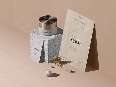 Free Set Of Bottle And Paper For Branding Cosmetics Mockup