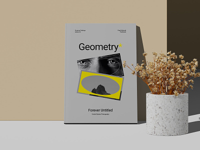 Free A4 Magazine Cover Mockup With Dry Plant branding design free free mockup freebies magazine mock up mock ups mockup