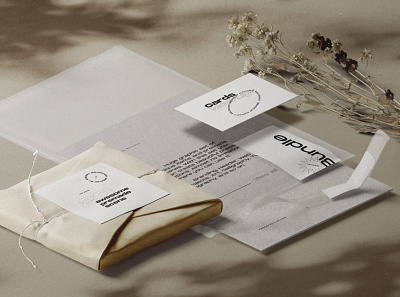 Branding Set Of Paper And Package Mockups Isometric isometric