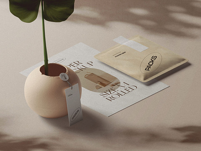 Paper And Package Mockups Shadow Overlay Scene Isometric isometric