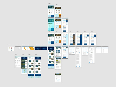 A typical project exploration process adobe xd adobexd california dataviz designexploration designsystem grid report ux uxdesign