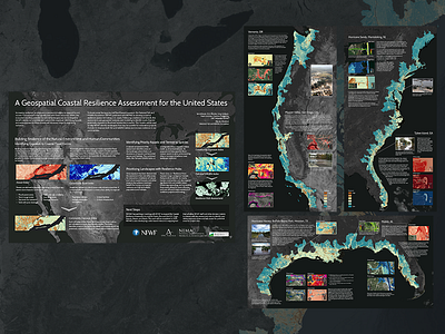 NFWF Coastal Resilience Assessment posters design maps science