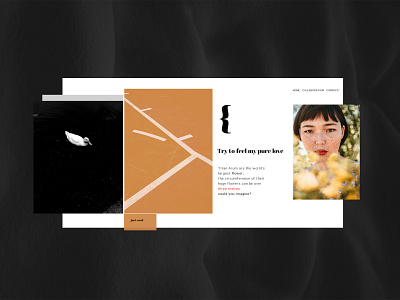 Tkapa clean firstshot hello dribbble minimalism web