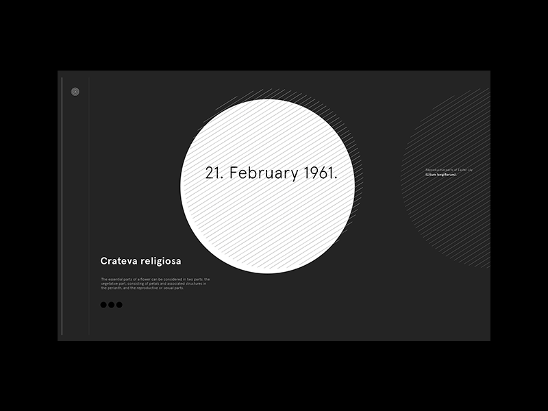 21 February 1961 clean creative agency creative portfolio design minimal portfolio typography visual identity web website