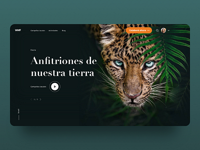 Cuidar nuestro planeta - Web Concept animal design diseño felino hero jaguar planet slider ui ux video web wild