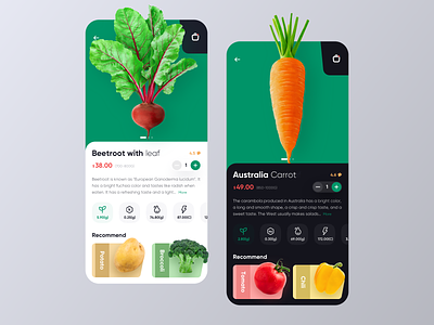 E-commerce project-day/night design food health shopping ui vector vegetables 卷筒纸 图标 插图 设计