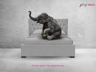 Godrej Interio - Campaign Elephant branding design