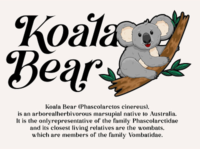 Koala Bear | Brown Falco Serif Font animal app branding design font graphic design illustration logo modern poster serif font simple ui ux vector