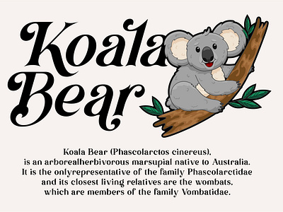 Koala Bear | Brown Falco Serif Font