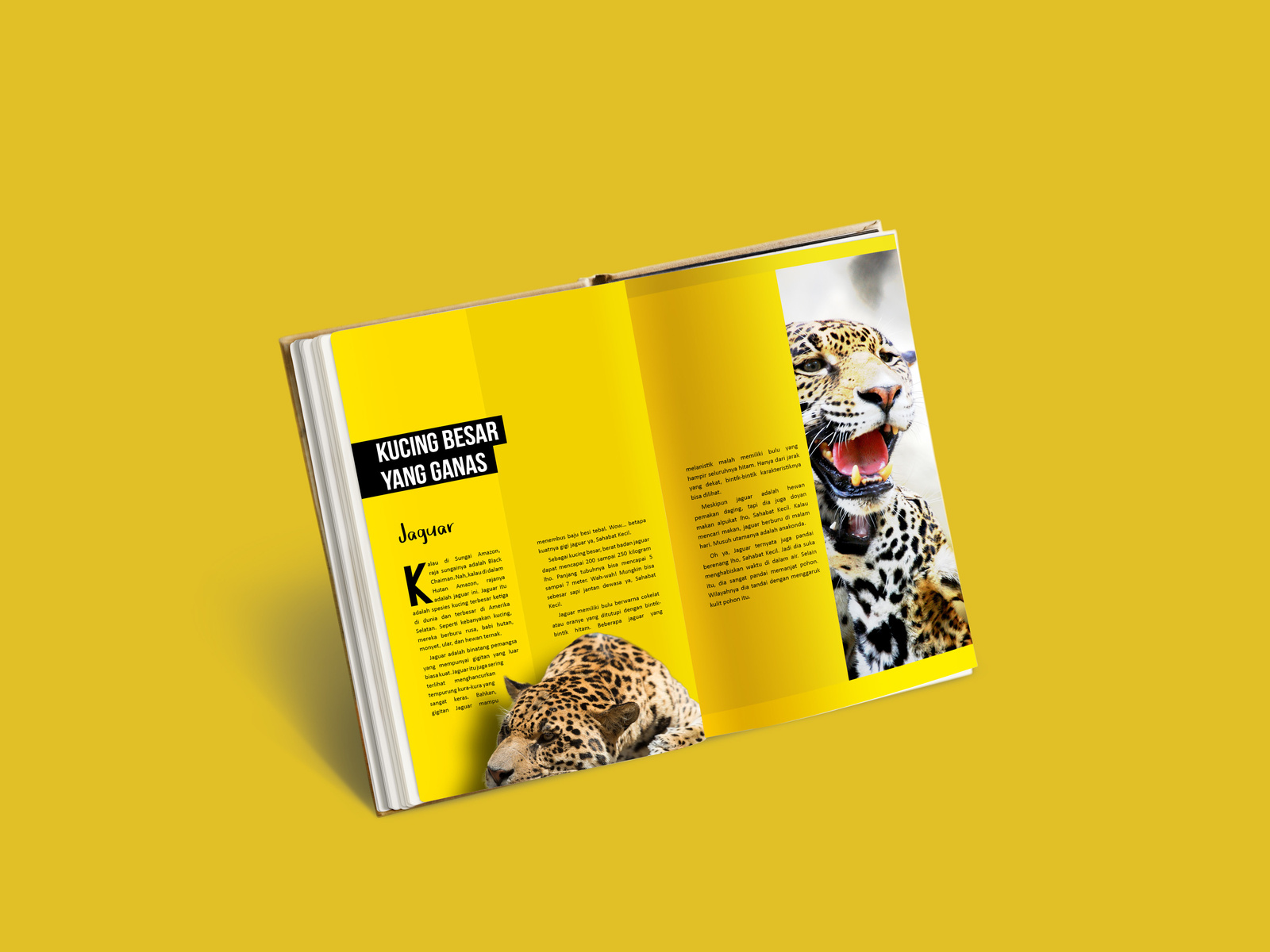 Book Page Layout For Published By Vincentius Wahyu On Dribbble