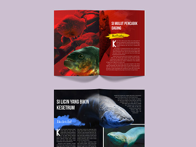 Template Page Layout Animal Magazine animal art book design mock up page layout photoshop