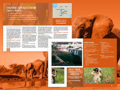 Safari brochure branding brochure brochure design design safari