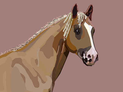 Arizona Animalhorse illustration