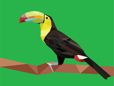 Geometric Toucan art bird geometric illustration illustrator poly polygon polygonal rainforest toucan tropical vector
