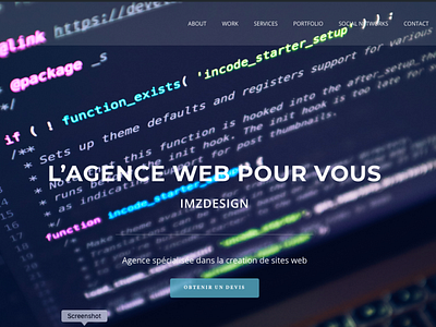 Web Agency  Website