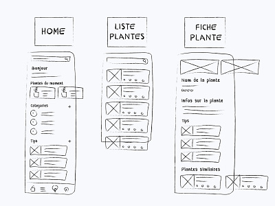 UX - Jolie plante : Sketching & arborescence app arborescence design plant plante sketch sketching storyboard ui ux