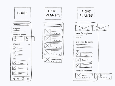 UX - Jolie plante : Sketching & arborescence