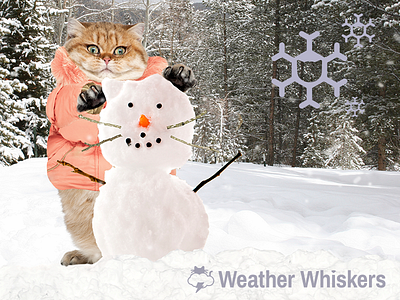 Sno Mah Gosh! cat app cat art cats cats in clothes snow snowman weather weather cats weather whiskers