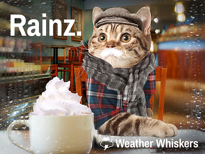 Rainz. No thx. cats cats in clothes coffee shop latte lol cat rain weather weather cats weather whiskers