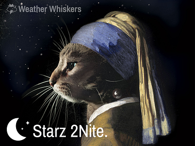 Cat with the Purrl Earring cat app cat art cats cats in art cats in clothes girl with the pearl earring lol cats night vermeer weather weather cats weather whiskers