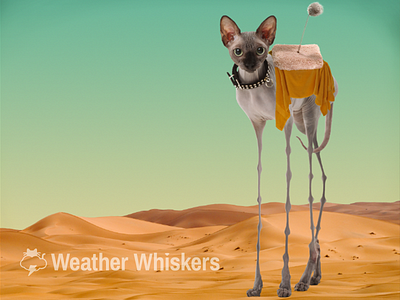 Dali Cat cats cats in art dali desert lol cats weather weather cats weather whiskers