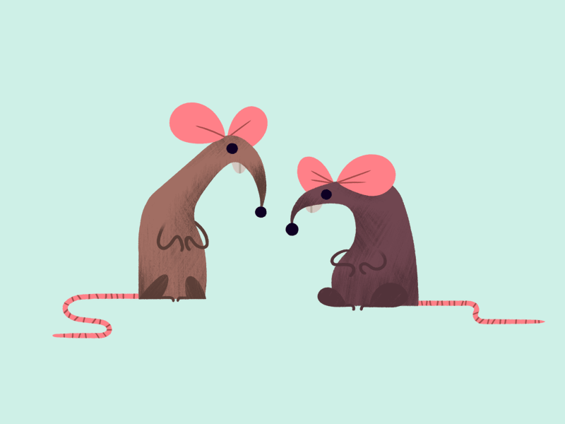 Animated Rats andrew kolb animated gif kolbisneat rats