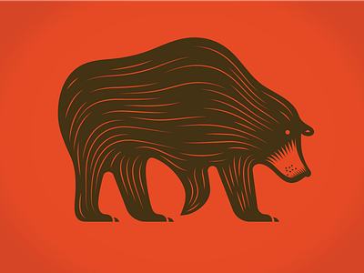 Bears Bears Bears Beaaarrrrsss bear illustration