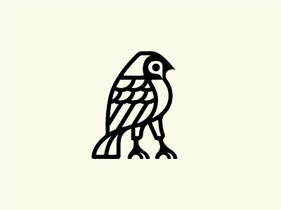 Newness apparel branding hawk illustration logo