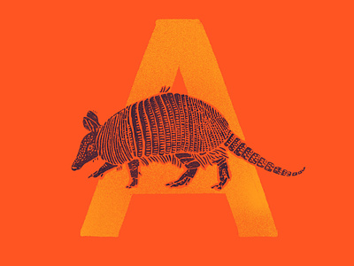 A is for armadilla 🤠 a alphabet armadillo armor illustration texture