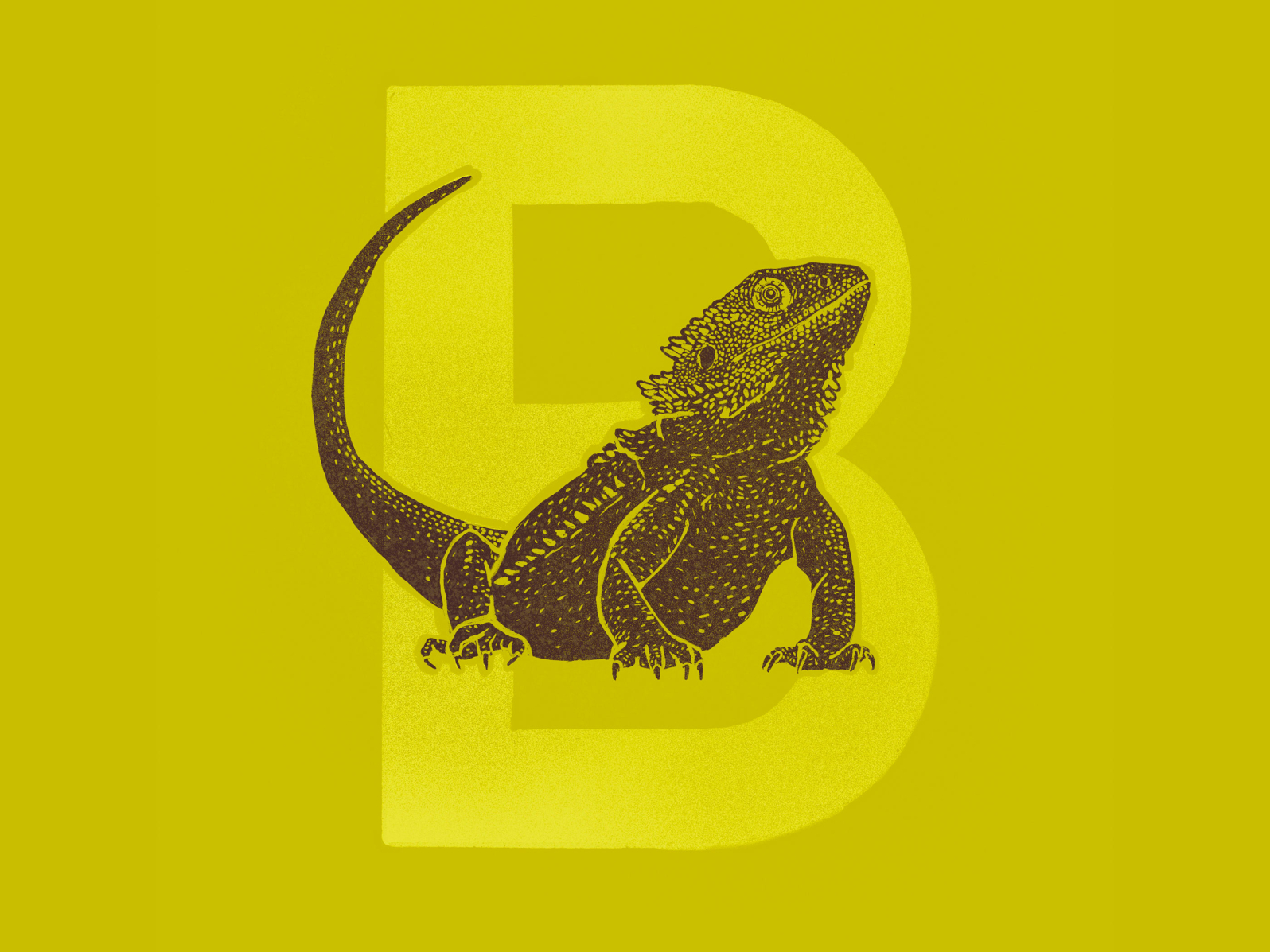 B Is For Bearded Dragon By Breanna Marsh On Dribbble