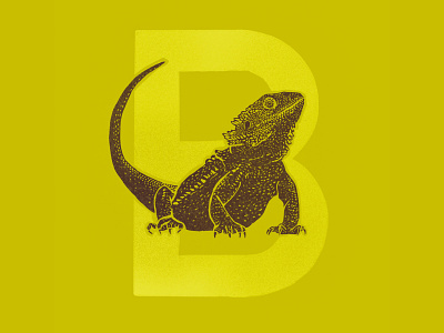 B is for bearded dragon alphabet bearded dragon illustration lizard reptile texture