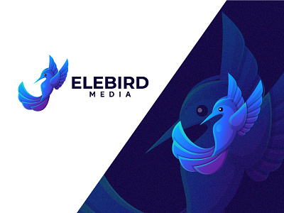 Elegant bird media app branding colorful gradient design graphicdesign hummingbird logo logoanimal logotype media vector