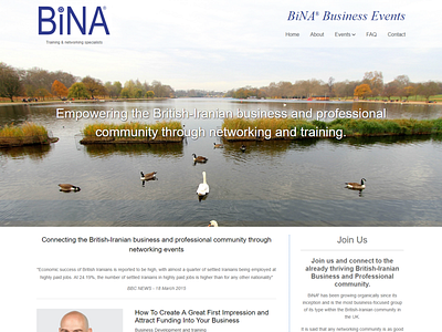 Bina design ui ux website